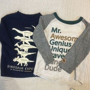 Carters 2T long sleeve Mr. Awesome Genius and 2T Dinosaur tees BUNDLE